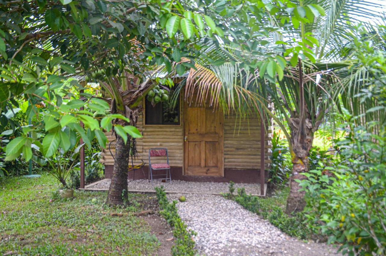 Hospedaje Y Alojamiento Cabanas Don Beto La Palma Bagian luar foto