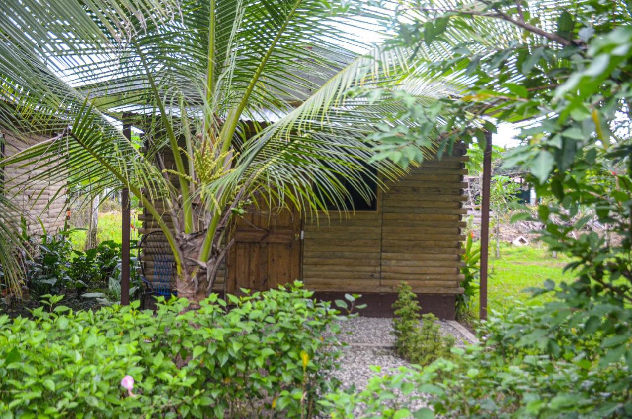 Hospedaje Y Alojamiento Cabanas Don Beto La Palma Bagian luar foto